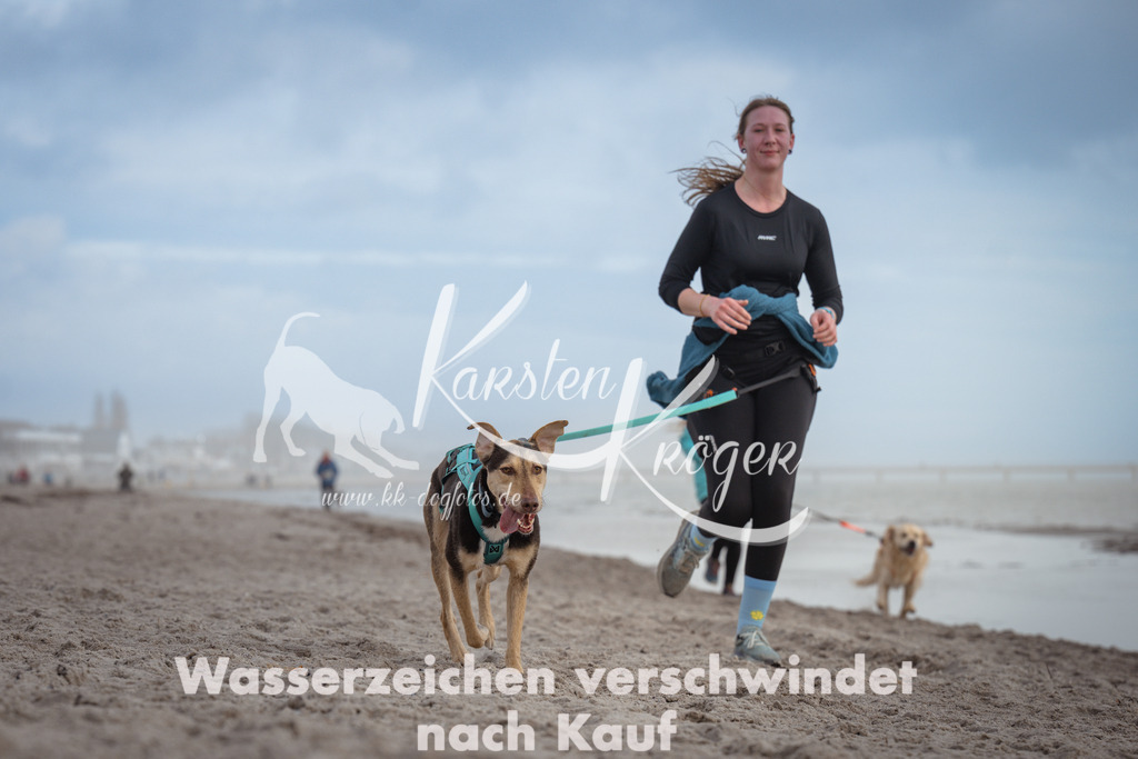 1211_ZZ94783 | kk-dogfotos