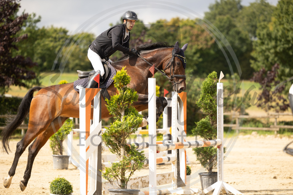 994A7841 | sabrinanicolaifotografie - Realisiert mit Pictrs.com