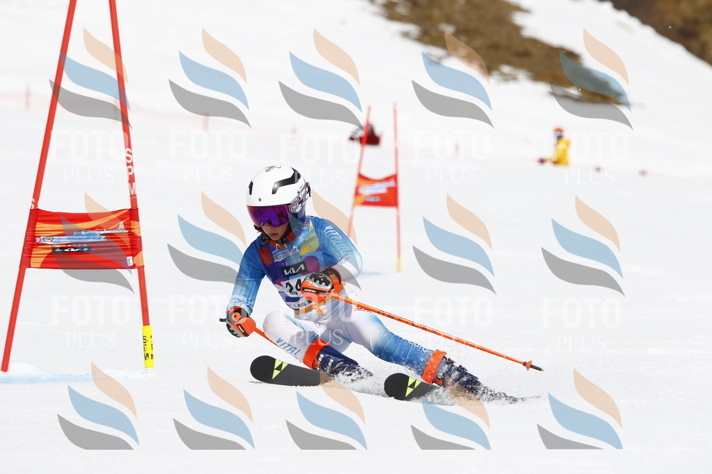 _U3G6122 | holidayphoto