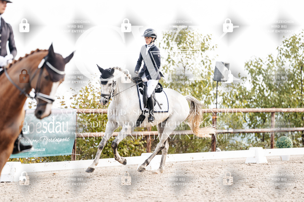 CK900573 | Turnierfotografie Pferdefotografie Trier Rheinland-Pfalz Pferdesport Reitsport Tierfotografie Sportfotografie Pferdevideo Pferdevideografie Equestrianvideography equestrianphotography  - Realisiert mit Pictrs.com