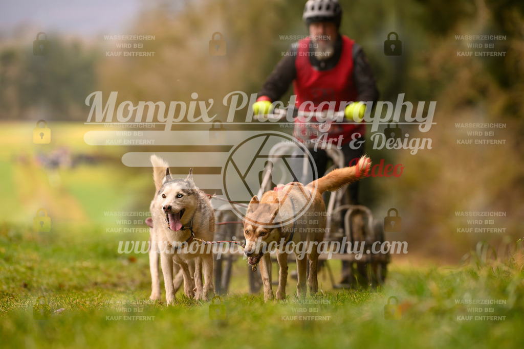 MompixPhotography_2SSTSSBW_2025_SO_Kart-24 | PayLife