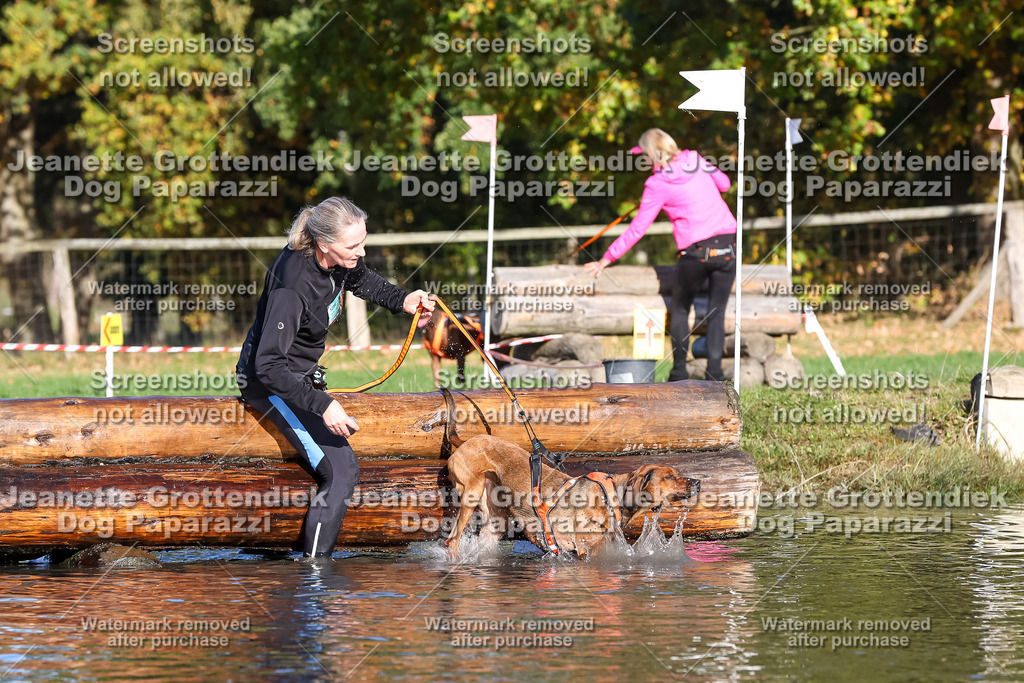 Dog Paparazzi - Strongdog 10-25-8661 | Dog Paparazzi Jeanette Grottendiek Fotografie & Videografie - Realisiert mit Pictrs.com