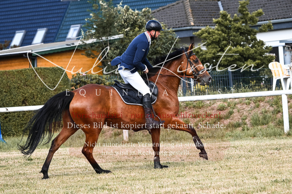 DSC_7624 | Pferde- und Turnierfotografie in Westsachsen. Pferdeportraits, Auftragszeichnungen und intuitive Kunst.