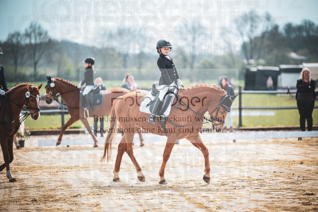 DOS_5244 | Entdecke hochwertige Reitturnierfotos von Foto Oger. Professionell, emotional und authentisch – jetzt Lieblingsmomente im Shop bestellen.Deutschlandweite Turnierfotografie. - Realisiert mit Pictrs.com