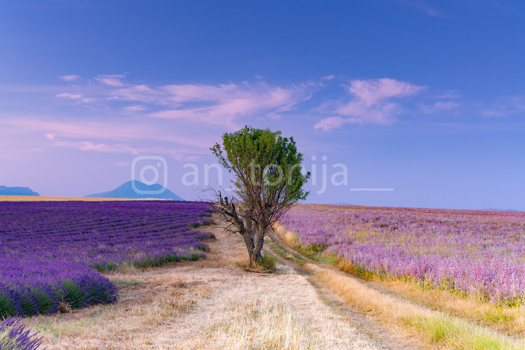 IMG_2624 | antonija-trupina - Realisiert mit Pictrs.com