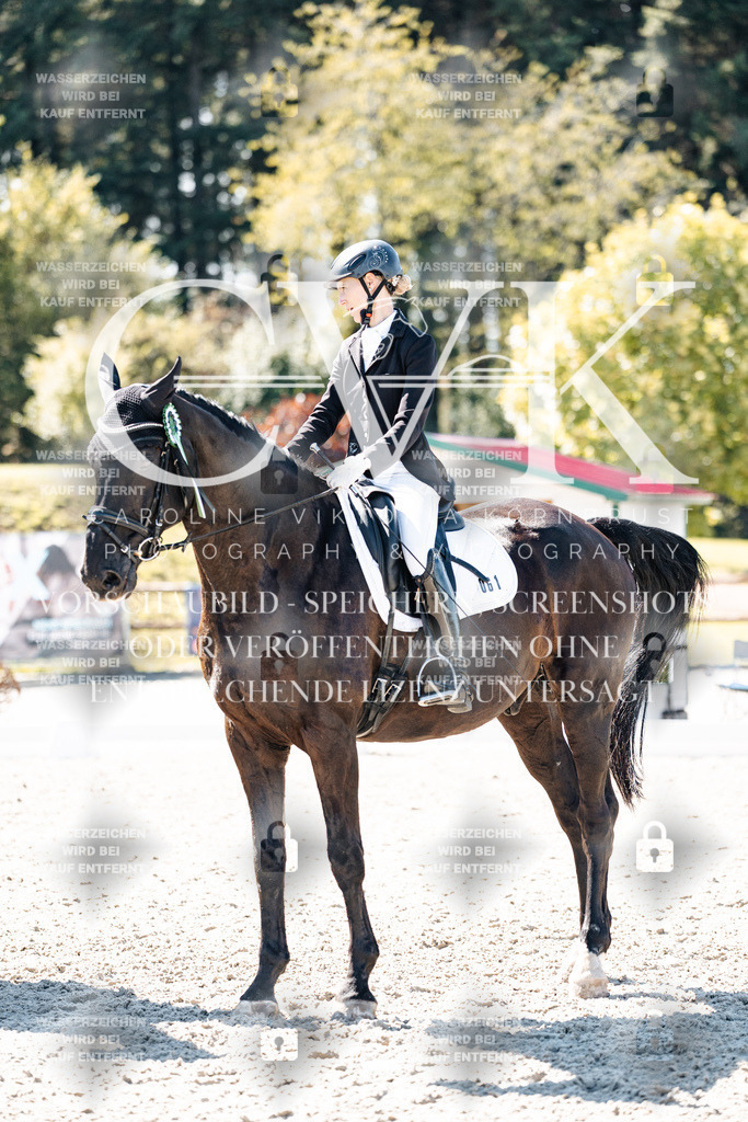 CK909942 | Turnierfotografie Pferdefotografie Trier Rheinland-Pfalz Pferdesport Reitsport Tierfotografie Sportfotografie Pferdevideo Pferdevideografie Equestrianvideography equestrianphotography  - Realisiert mit Pictrs.com