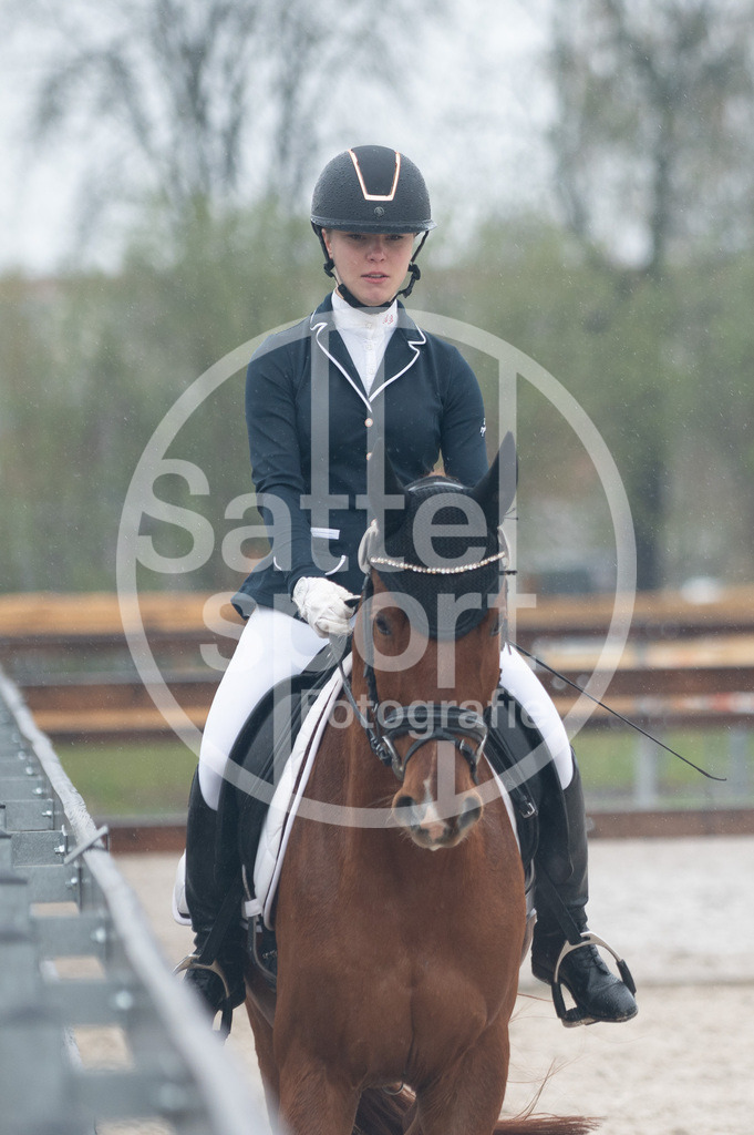 DSC_5451 | sattelsport - Realisiert mit Pictrs.com