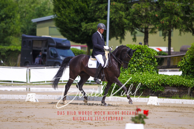 DKP40711 | Turniersportfotografie; Pferdefotografie; Dressurfotografie