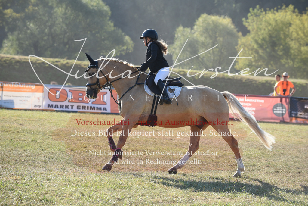 DSC_5515 | Pferde- und Turnierfotografie in Westsachsen. Pferdeportraits, Auftragszeichnungen und intuitive Kunst.