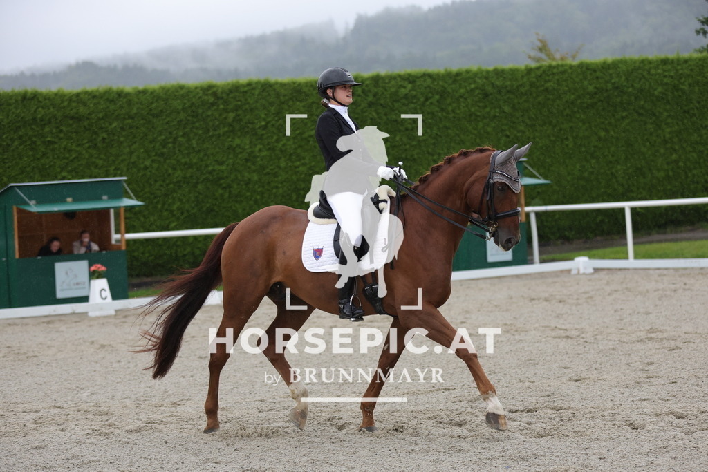 0P6A0734 | Willkommen bei Brunnmayr - Design & Fotografie – Ihrem Spezialisten für Reitturniere und Pferdeveranstaltungen in Oberösterreich, Salzburg und Bayern! Seit über 17 Jahren sind wir leidenschaftlich dabei.