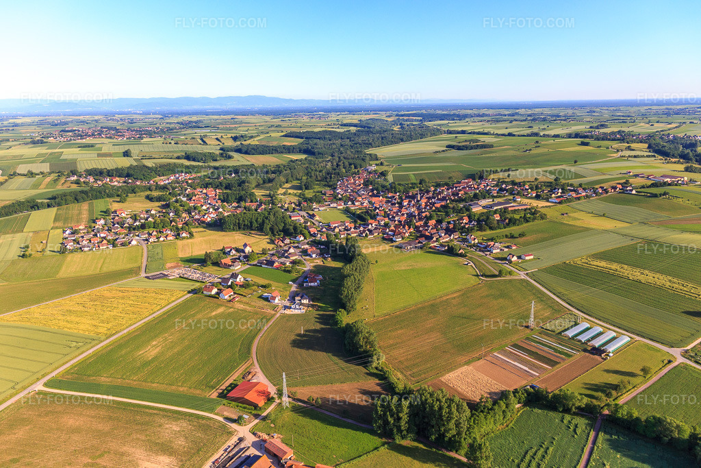 Aerial view: View of the town from the southeast in Steinseltz in the state Bas-Rhin, France. – Photo: IMG_100755.jpg taken on 06/08/2017 by Werner Riehm/FLY-FOTO.com – Resolution of the original: 5472 x 3648 px
