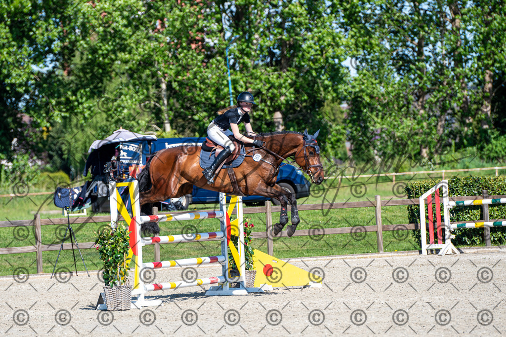 KPT_1713 | andre_photographic