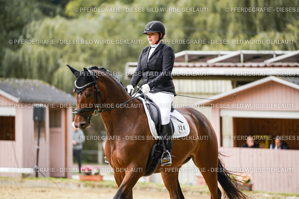 DSC09071 | Pferdegrafie