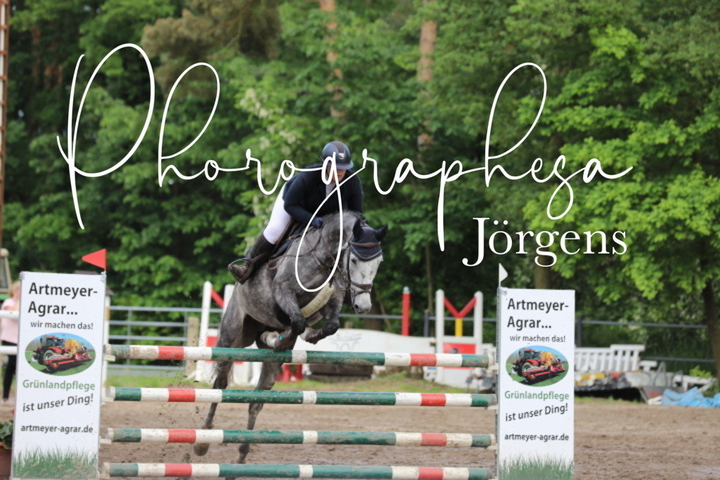 IMG_9088 | photographesa-joergens - Realisiert mit Pictrs.com