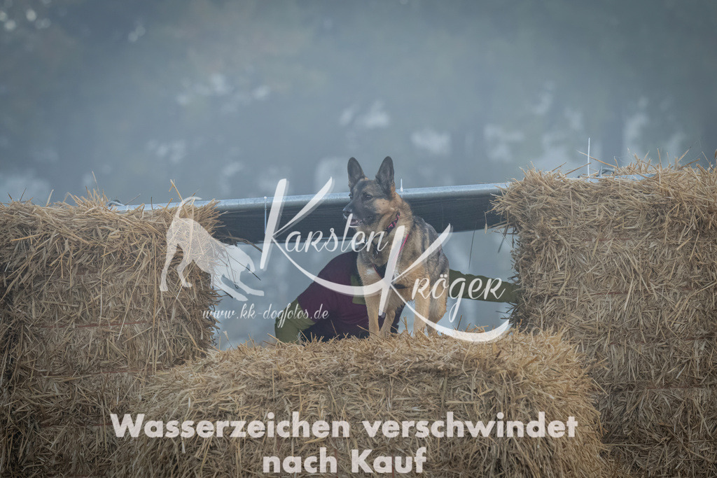 0823_ZZ97789 | kk-dogfotos