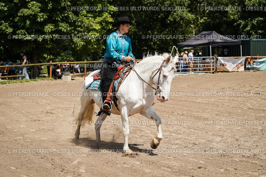 DSC07317 | Pferdegrafie