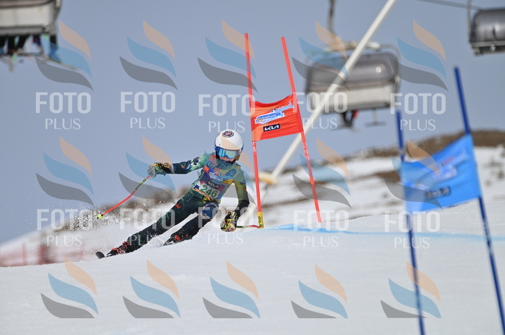 BGV_4859 | holidayphoto