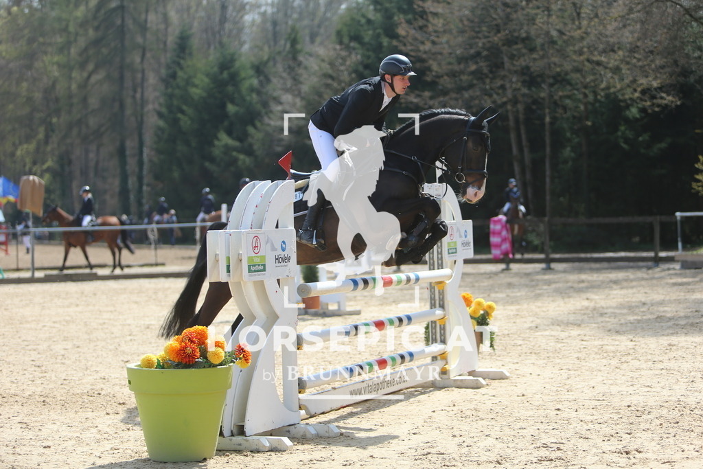 DL2Q9448 | Willkommen bei Brunnmayr - Design & Fotografie – Ihrem Spezialisten für Reitturniere und Pferdeveranstaltungen in Oberösterreich, Salzburg und Bayern! Seit über 17 Jahren sind wir leidenschaftlich dabei.
