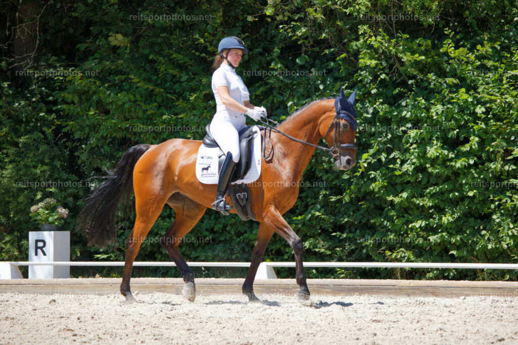 JHE_4718 | JoYa Fotografie - Realisiert mit Pictrs.com