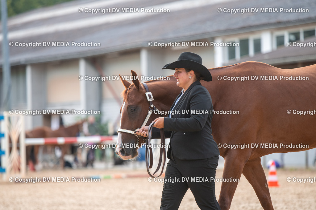 EWP_5512 | dv-media-shop - Realisiert mit Pictrs.com