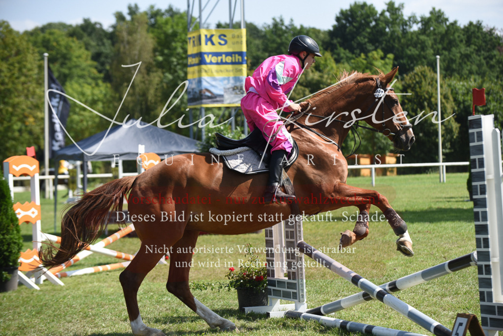 DSC_0245 | Pferde- und Turnierfotografie in Westsachsen. Pferdeportraits, Auftragszeichnungen und intuitive Kunst.
