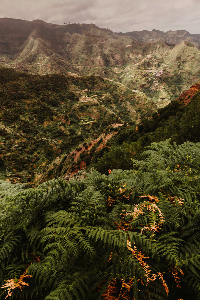 Teneriffa_by Leevke Draack_11 | Du suchst natürliche und atmosphärische Prints oder Leinwanddrucke? In diesem Shop gibt es alles, nur kein Mainstream. - Realisiert mit Pictrs.com