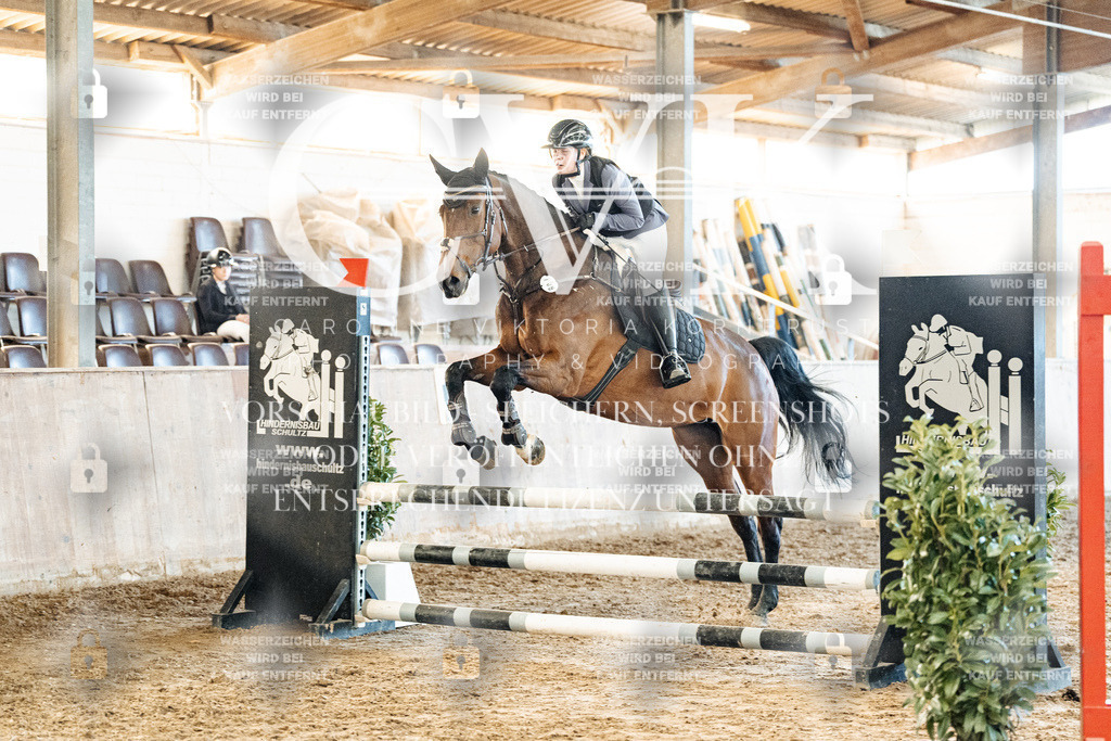 CK904638 | Turnierfotografie Pferdefotografie Trier Rheinland-Pfalz Pferdesport Reitsport Tierfotografie Sportfotografie Pferdevideo Pferdevideografie Equestrianvideography equestrianphotography  - Realisiert mit Pictrs.com