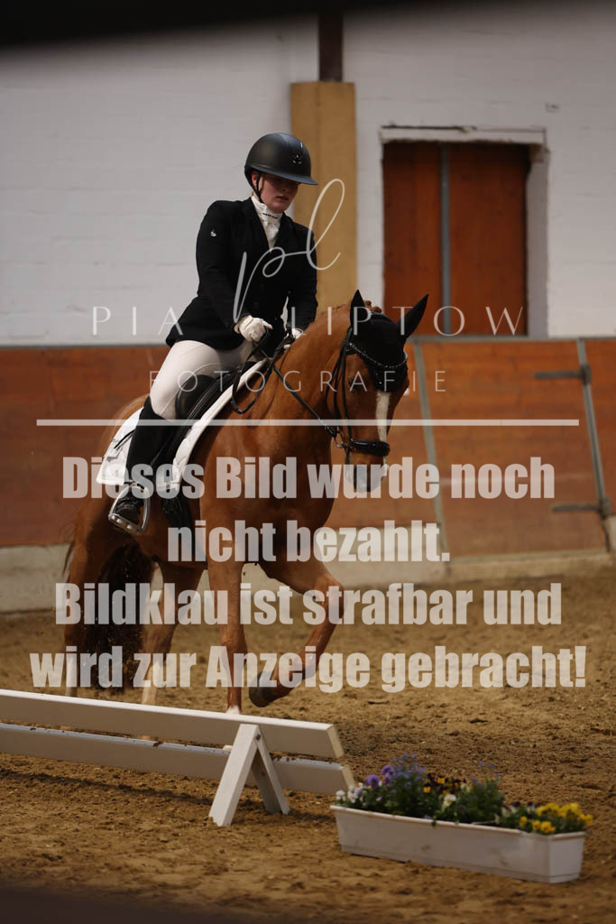 IMGM0633 | pl-fotografie