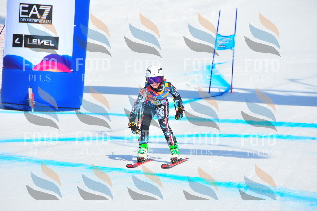 DSC_0583 | holidayphoto