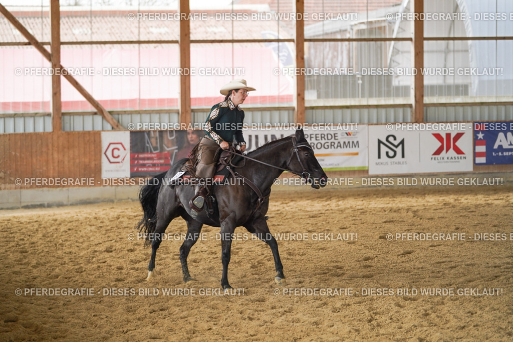 DSC04985 | Pferdegrafie