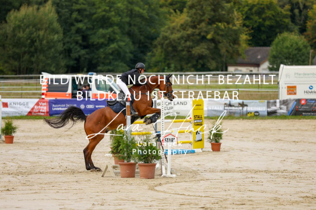 _62_9014 | larahueckfotografie