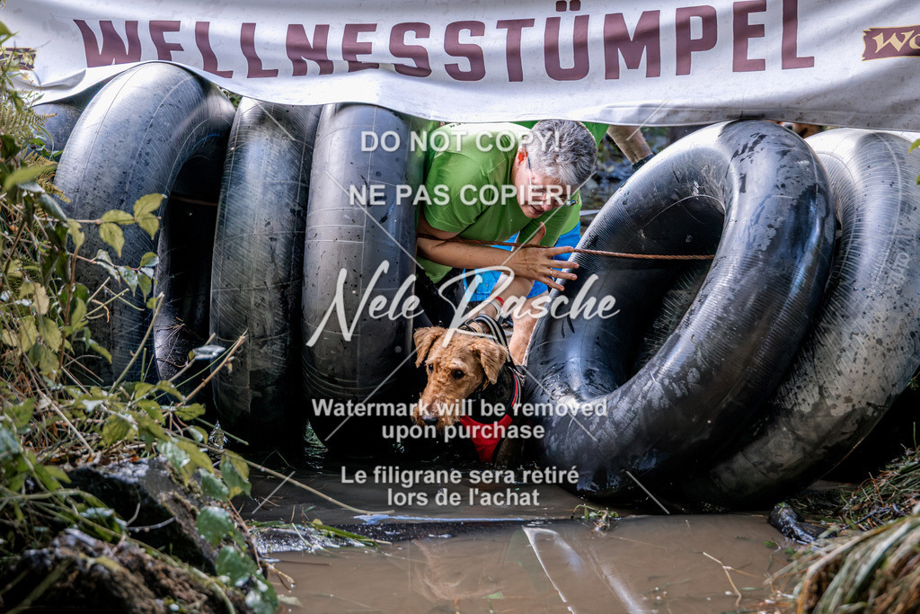 nelerasche_Hunsrück2026_Sa1400-1500_72 | nelerasche