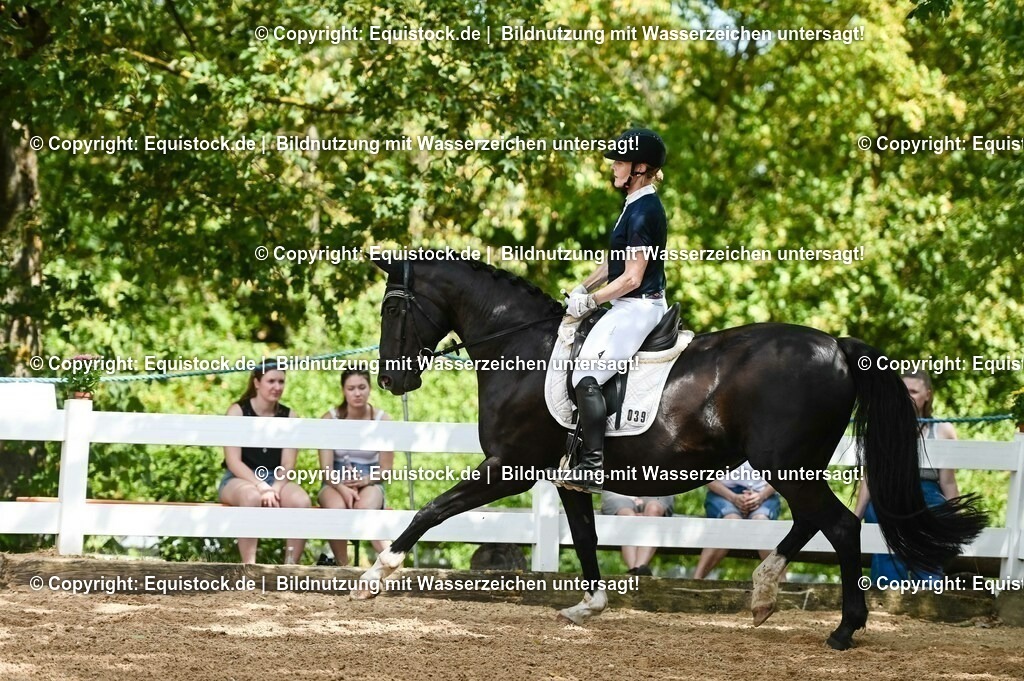 20230715_02_Dressurreiterprüfung Kl.L_0352 | equistock