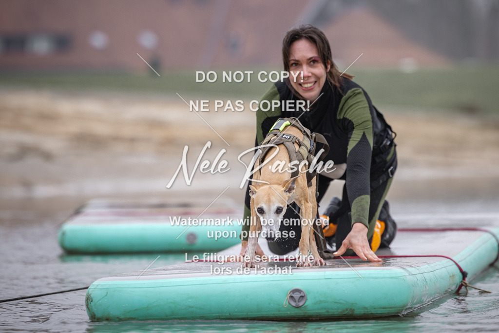 nelerasche_Hulsbeek_Sa0845-1030_283 | nelerasche