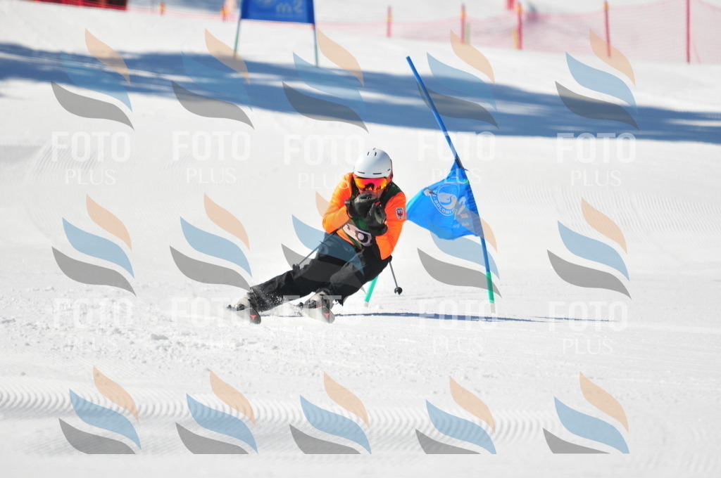 C4319 | holidayphoto