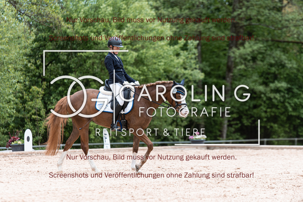 DSC_6777 | Turnierfotografin Carolin Gieschke,Reitsport Turnierfotografie Carolin G Fotografie | Turnierfotos aus Kirchheim/Teck, Esslingen, Stuttgart und dem Bodenseekreis