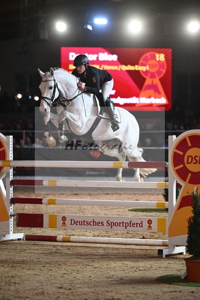 Doctor Blue_2241983 | hf-fotografie - Realisiert mit Pictrs.com