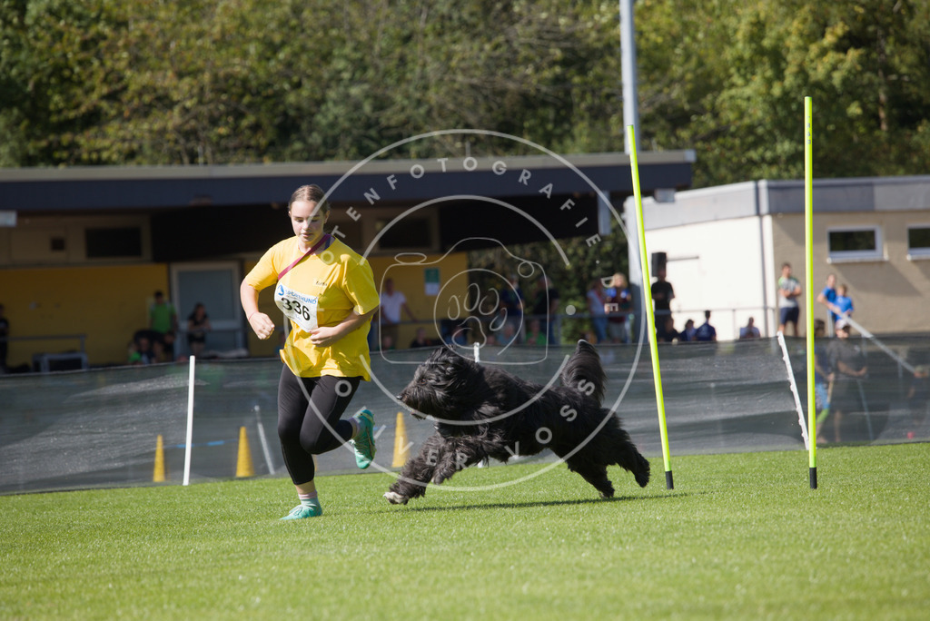 0L8A6008 | Hundefotografie, Tierfotograf, Pfotenfotografie, Fotoshooting Hund, Hunde Portrait, Hundesport, Hundeportraits, Heideshooting, Hunde, Sportfotograf, Hundefotograf, Turnierhundsport, THS,  - Realisiert mit Pictrs.com