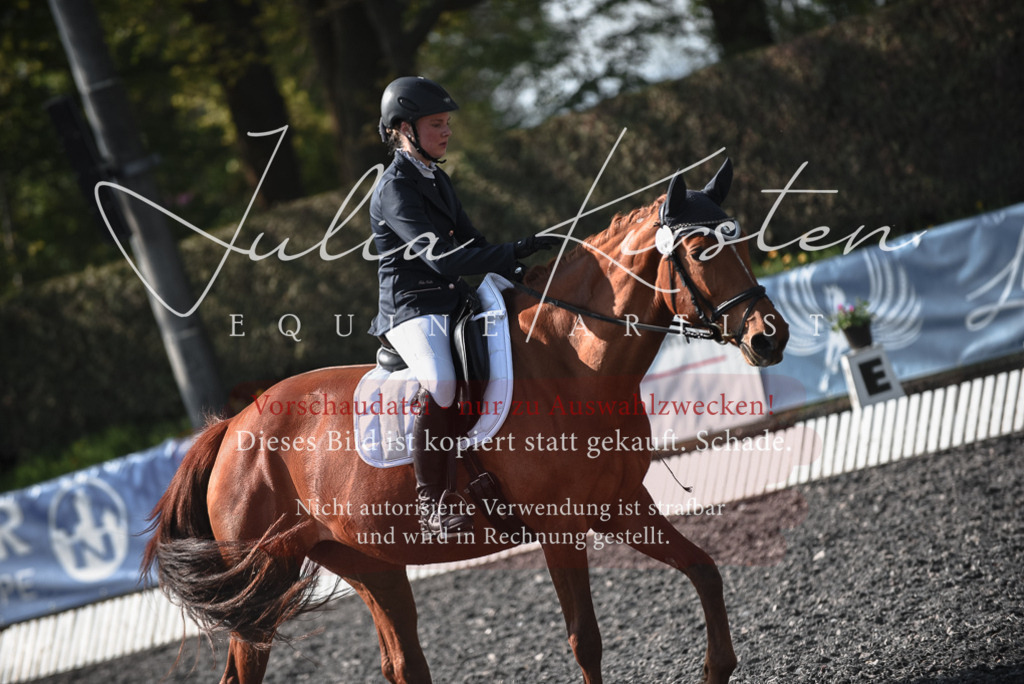 20230513_JK-Röhrsdorf-14-074 | Pferde- und Turnierfotografie in Westsachsen. Pferdeportraits, Auftragszeichnungen und intuitive Kunst.