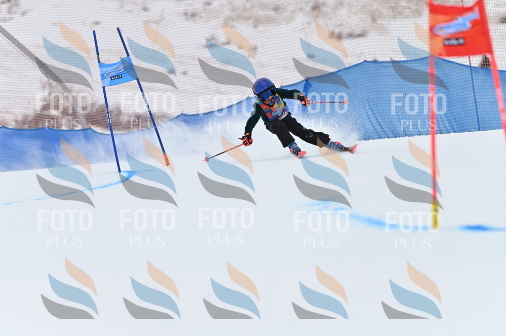 BGV_9560 | holidayphoto