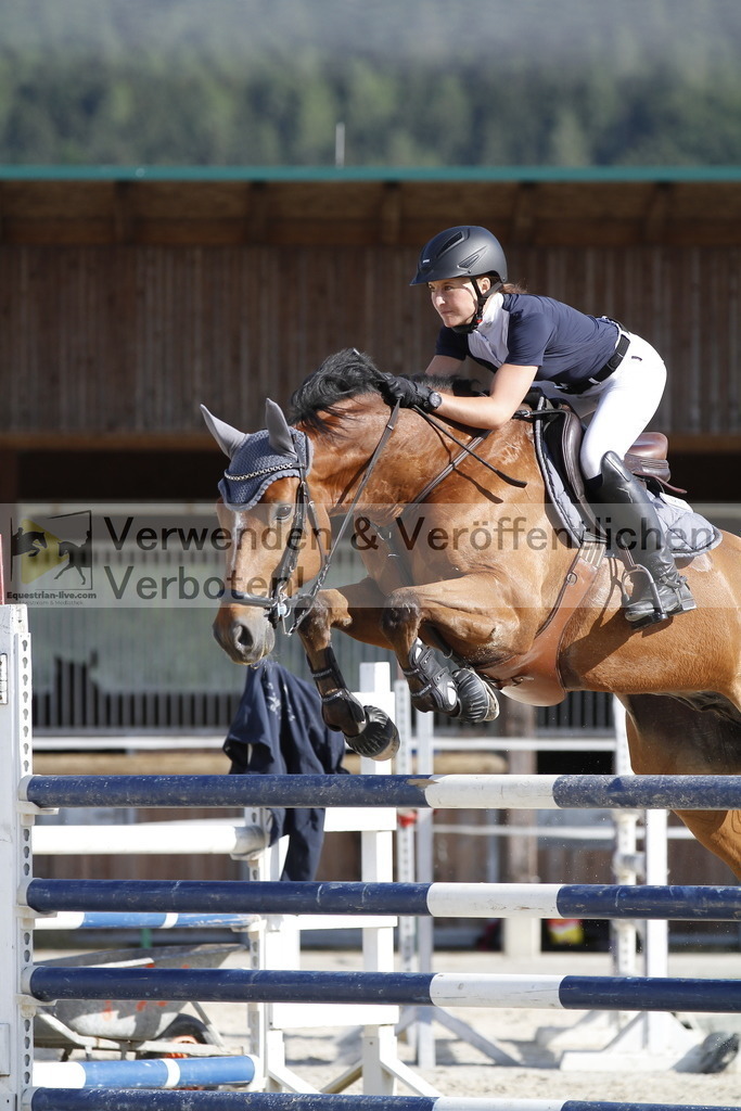 _MG_5516 | equestrian-live-com