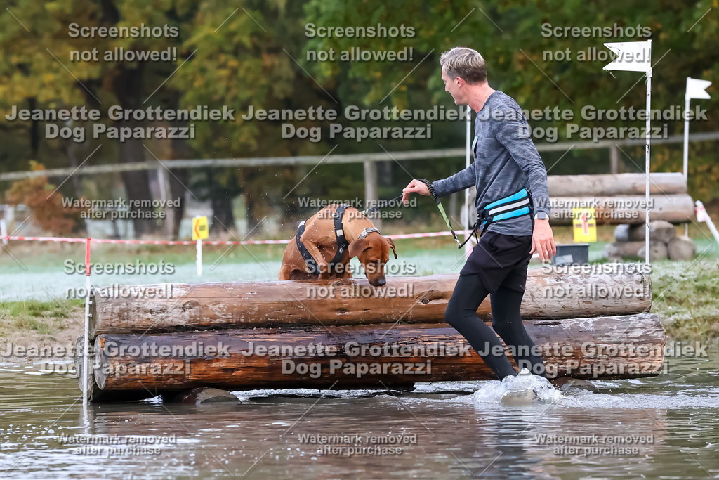 Dog Paparazzi - Strongdog 10-25-6167 | Dog Paparazzi Jeanette Grottendiek Fotografie & Videografie - Realisiert mit Pictrs.com