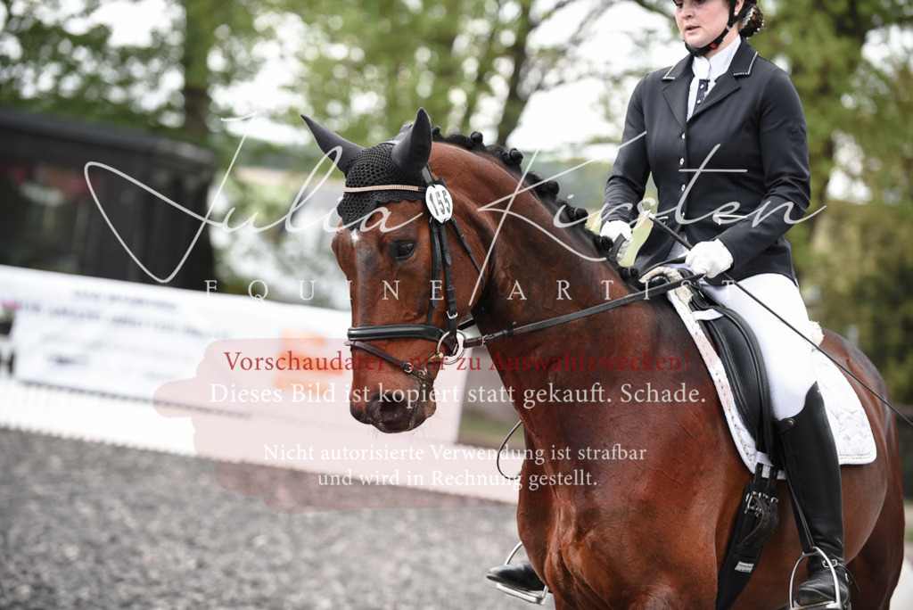 20230513_JK-Röhrsdorf-14-773 | Pferde- und Turnierfotografie in Westsachsen. Pferdeportraits, Auftragszeichnungen und intuitive Kunst.