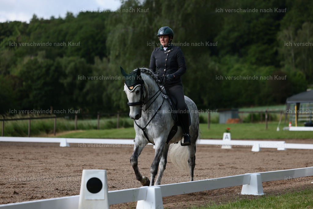 KlasseL_Stoibphotography_CAM20803.JPG | working equitationturnier fotograf videograf stoibphotography marixx film working equitation deutschland reitsport turnierfotografie eventfotografie equestrian events