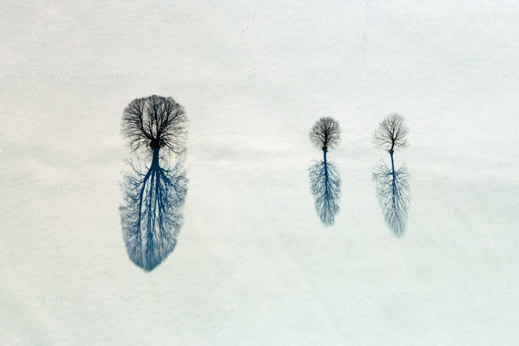 23B0559 | drei Bäume im Schnee bei Schweinfurt
