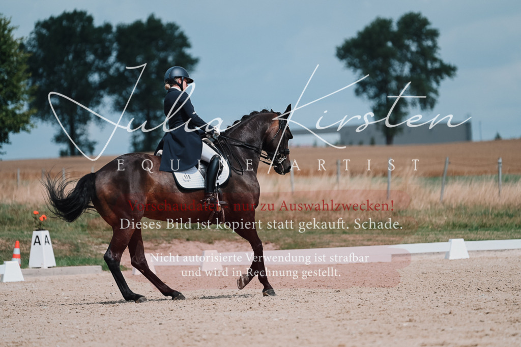 DSC_4307 | Pferde- und Turnierfotografie in Westsachsen. Pferdeportraits, Auftragszeichnungen und intuitive Kunst.