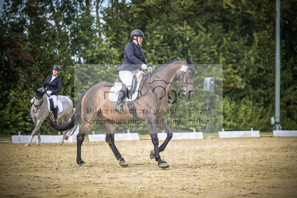 DOS_7046 | Entdecke hochwertige Reitturnierfotos von Foto Oger. Professionell, emotional und authentisch – jetzt Lieblingsmomente im Shop bestellen.Deutschlandweite Turnierfotografie. - Realisiert mit Pictrs.com