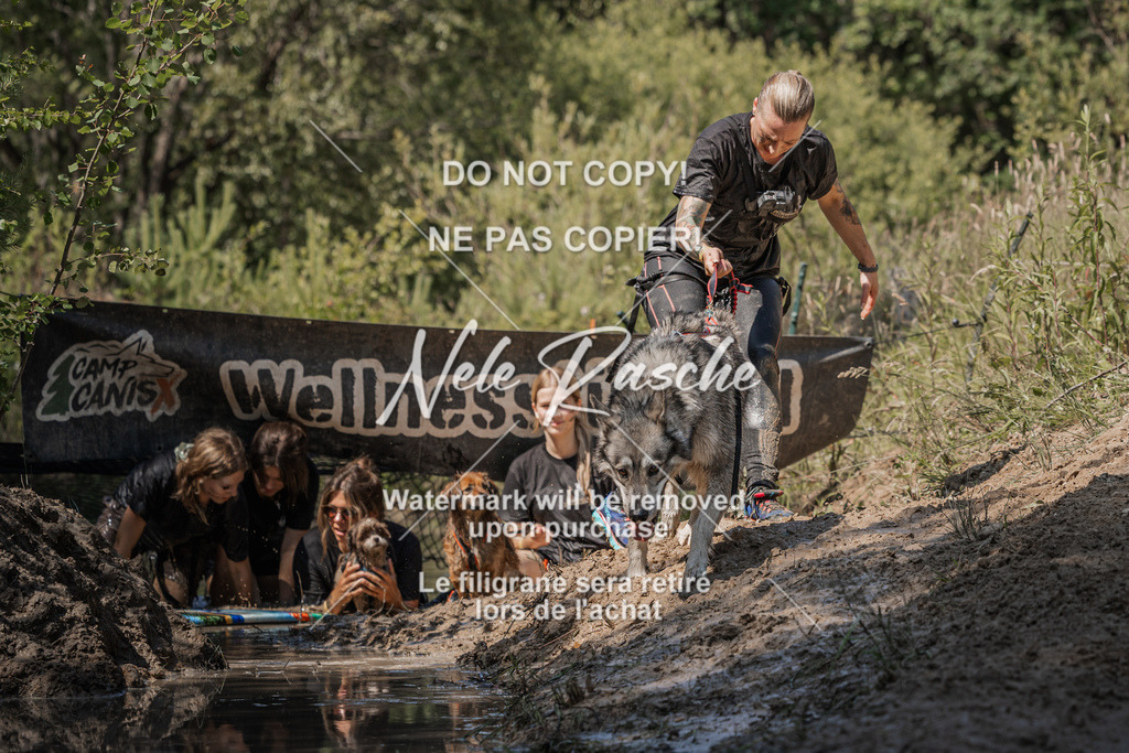 nelerasche_Hoope2026_Sa1500-1530_80 | nelerasche