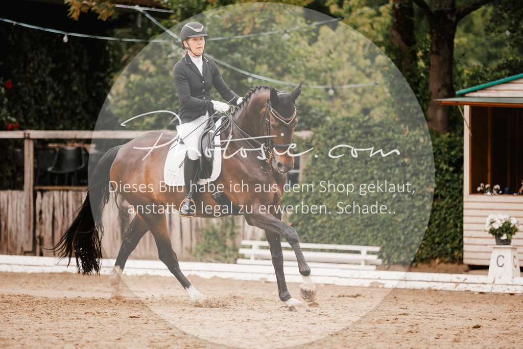 3I6A7831 | Stimmungsvolle Portraits und Reitsportfotografie im Ruhrgebiet und im Münsterland.

Pferdefotografie, Hundefotografie, Tierfotografie, Reportagen, Portraits von Tier und Mensch, Turnierfotografie in Bochum, Recklinghausen, Marl, Haltern am See, Dülmen.. - Realisiert mit Pictrs.com