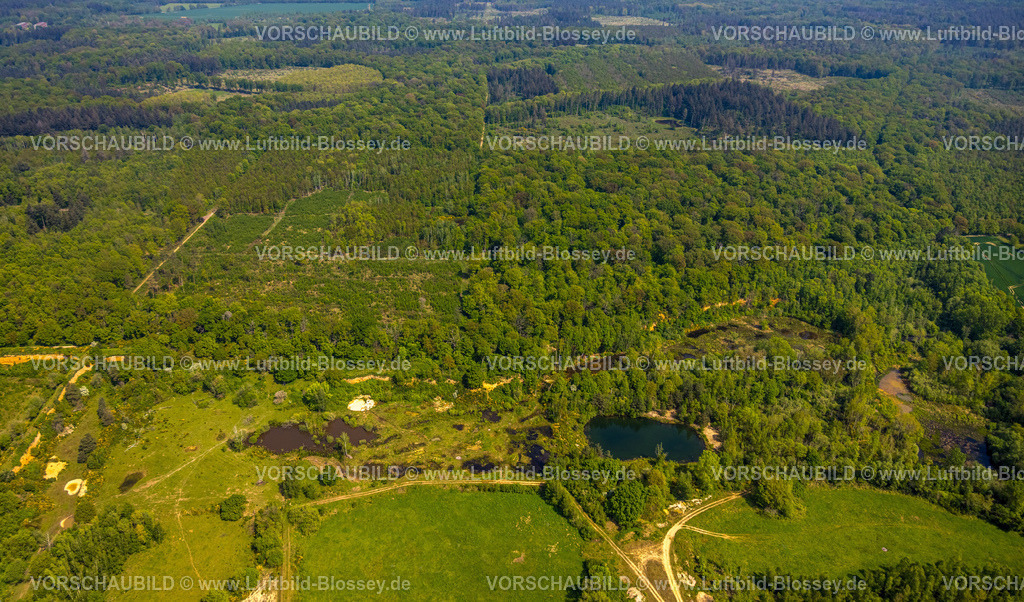 Swisttal240501629Kottenforst | Luftbild, Kottenforst Waldgebiet, Teiche Kiesgrube Dünstekoven Landschaftsschutzgebiet, Naturschutzgebiet Waldville mit Fernsicht, Dünstekoven, Swisttal, Rheinland, Nordrhein-Westfalen, Deutschland